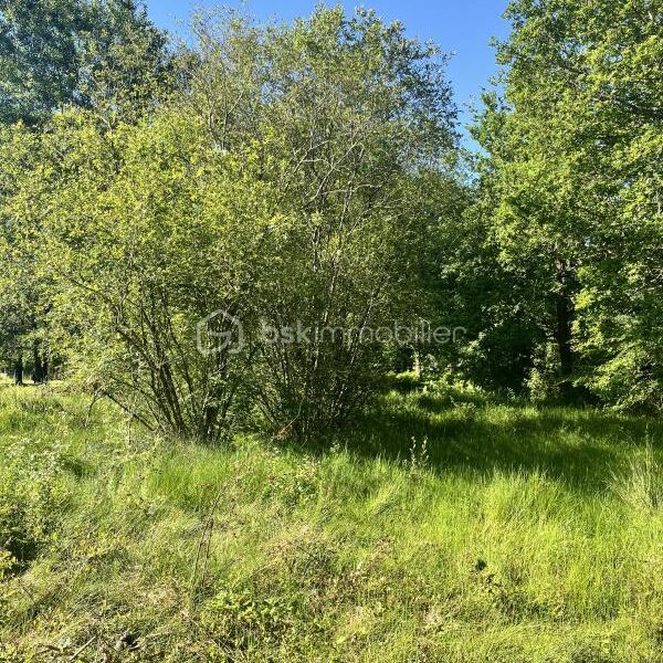 Terrain à vendre à Grayan et l hopital
