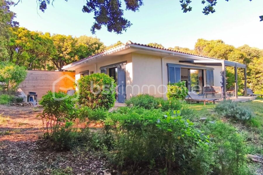 Maison à vendre à Albitreccia