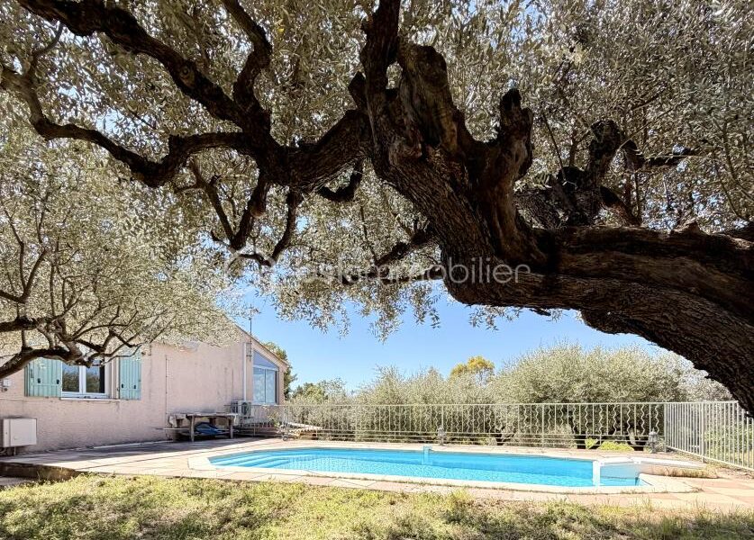 Maison à vendre à Tourtour — Vue nature — photo 20