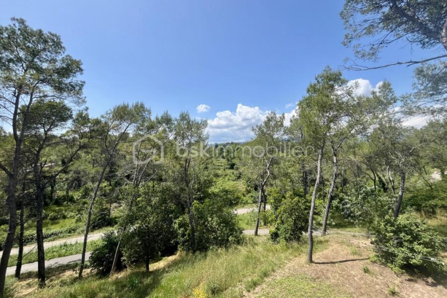 Maison à vendre à Saint paul en foret