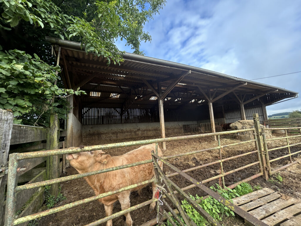 Au coeur de la campagne du sud Pays d&rsquo;auge, l&rsquo;agence CAZIN I – 6 pièces – 3 chambres – 120 m²