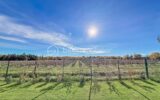*** VILLA CONTEMPORAINE DE 130M2 AVEC GARAGE ET PISCINE – ARPAILLARGUES ET AUREILLAC *** – 5 pièces – 4 chambres – 120 m²