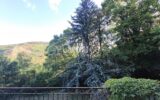 🌿 DOMAINE NATURE DE 13 HECTARES – MAISON 149 m² SAINT-PONS-DE-THOMIÈRES 🌿 – 4 pièces – 3 chambres – 149 m²