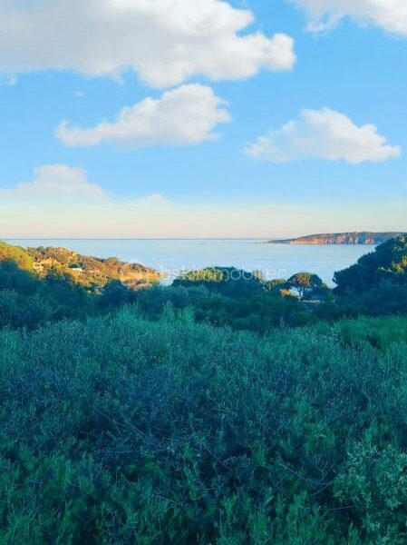 Maison à vendre à Lecci — Vue mer — photo 8