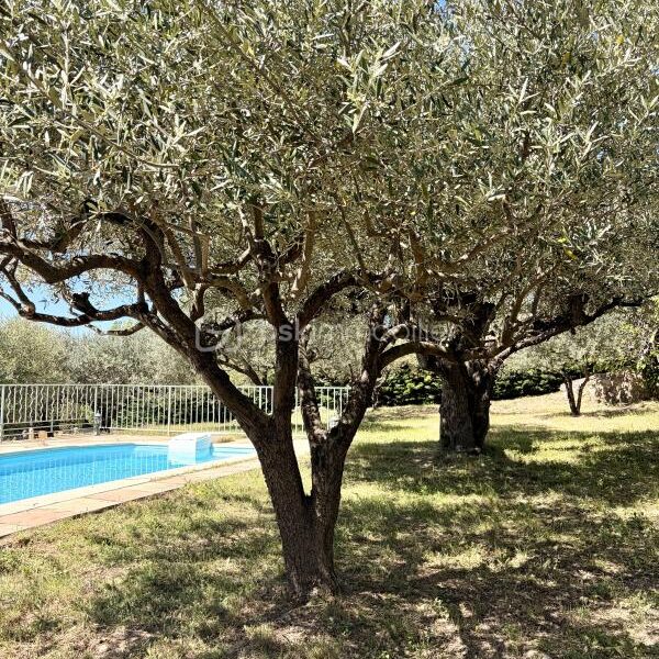 Maison à vendre à Tourtour — Vue nature — photo 22
