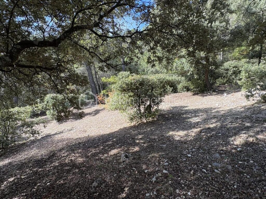 Maison avec 4 chambres sur 1650 m² de terrain – 5 pièces – 4 chambres – 170 m²
