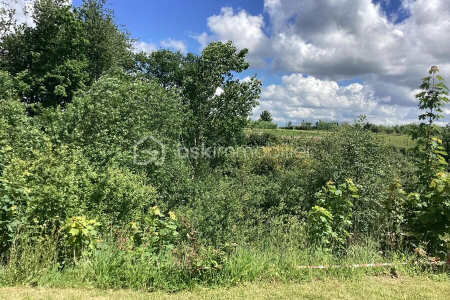 Maison à vendre à Plelan le petit — Vue nature — photo 18