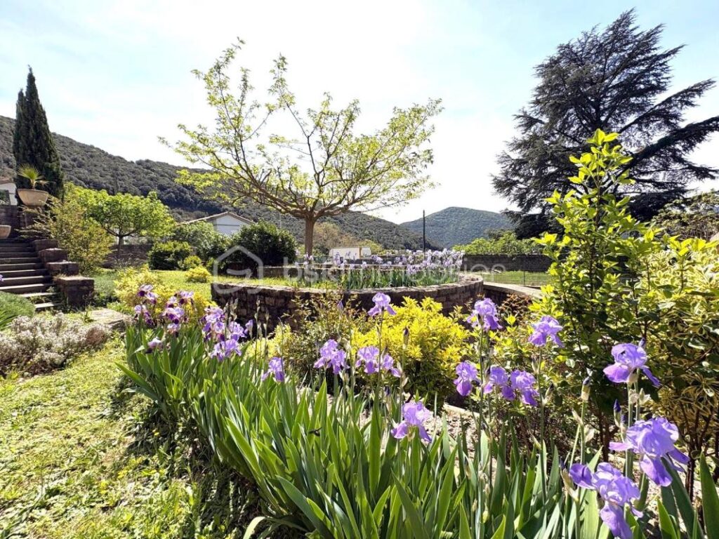 Elégante demeure de charme, aux pieds ces Cévennes, avec piscine et vue dégagée – 7 pièces – 6 chambres – 230 m²