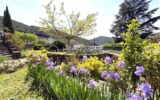 Elégante demeure de charme, aux pieds ces Cévennes, avec piscine et vue dégagée – 7 pièces – 6 chambres – 230 m²