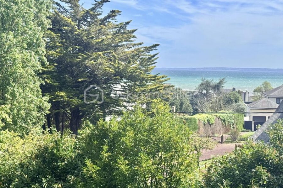 Maison à vendre à Binic — Vue mer — photo 28
