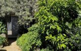Maison à vendre à Carpentras — Vue nature — photo 4