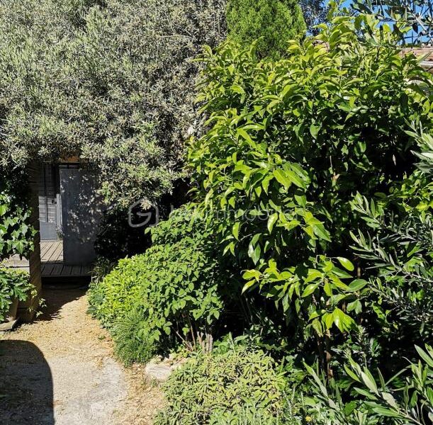 Maison à vendre à Carpentras — Vue nature — photo 4