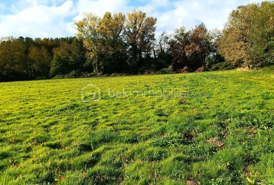 Terrain à vendre à Aire sur l adour