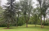 Exclusivité Crot Pinçon – 6 pièces – 5 chambres – 300 m²