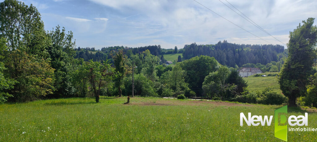 Superbe terrain de 5.000 m² à Tulle – NR pièces – NR chambres – 5060 m²