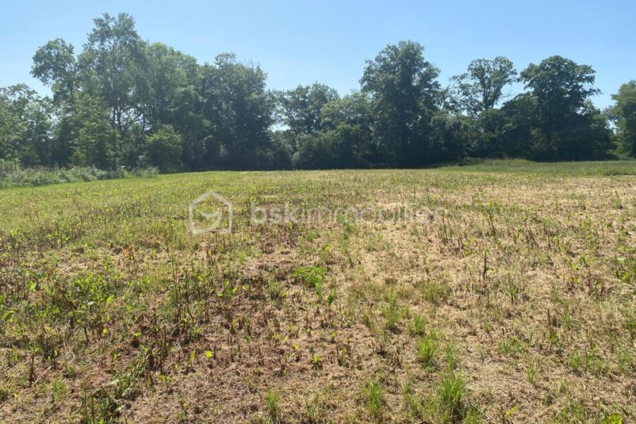 Terrain à vendre à Neuville sur brenne