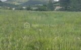 EXCEPTIONNEL TERRAIN À BÂTIR À PIERRELONGUE – NR pièces – NR chambres – 1770 m²