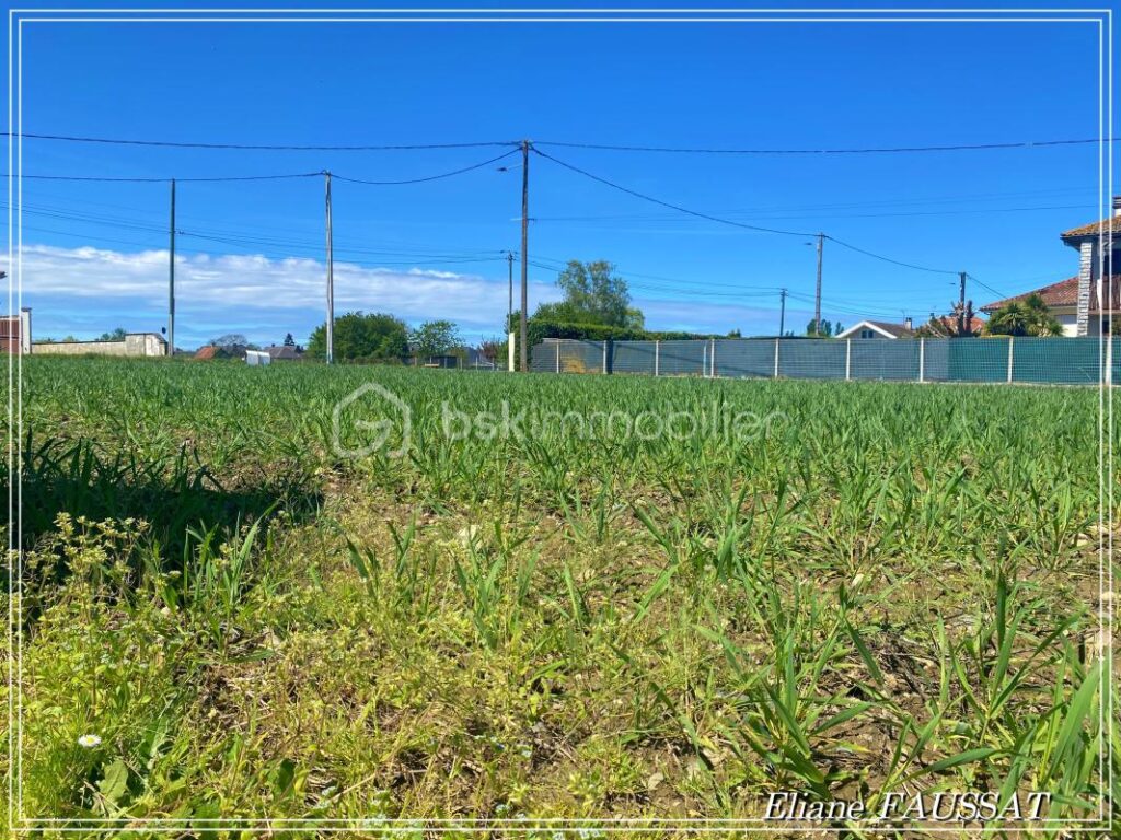 Optimisez le potentiel de votre futur projet immobilier à LALOUBERE – NR pièces – NR chambres – 700 m²