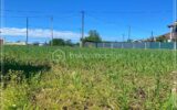 Optimisez le potentiel de votre futur projet immobilier à LALOUBERE – NR pièces – NR chambres – 700 m²