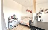 Studio avec cave et 2 places de stationnement entièrement rénové à Saint-Martin-Bellevue – 1 pièce – NR chambres – 24 m²