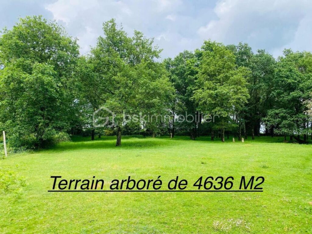 Maison de Village de 187 M² (Loyat 56800) – 7 pièces – 5 chambres – 187 m²