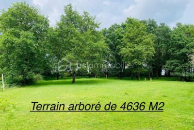 Maison de Village de 187 M² (Loyat 56800) – 7 pièces – 5 chambres – 187 m²