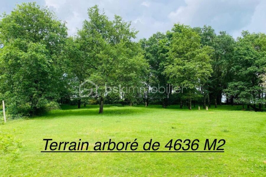Maison à vendre à Loyat