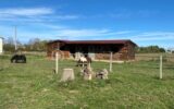 Charmante maison avec piscine, box à chevaux et vue Pyrénées – 9 pièces – 6 chambres – 269 m²