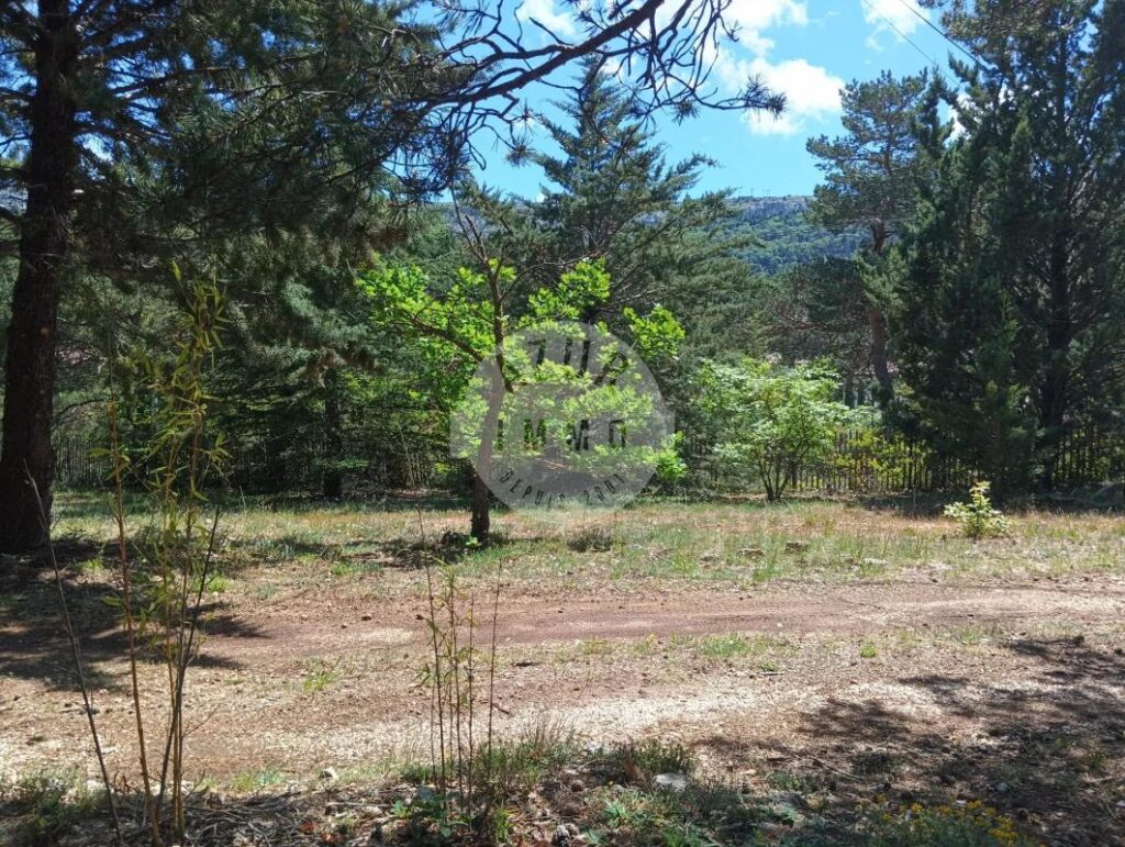 SUPERBE TERRAIN CONSTRUCTIBLE 1000 m² , HORS LOTISSEMENT – NR pièces – NR chambres – 1000 m²