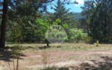 SUPERBE TERRAIN CONSTRUCTIBLE 1000 m² , HORS LOTISSEMENT – NR pièces – NR chambres – 1000 m²