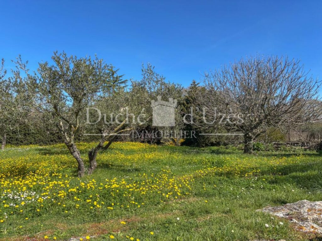 Villa – 8 pièces – 5 chambres – 145 m²