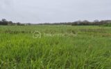Terrain à vendre à Savonnieres