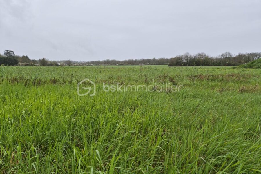 Terrain à vendre à Savonnieres