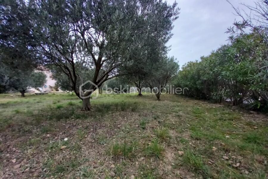 Terrain à vendre à Clermont l herault