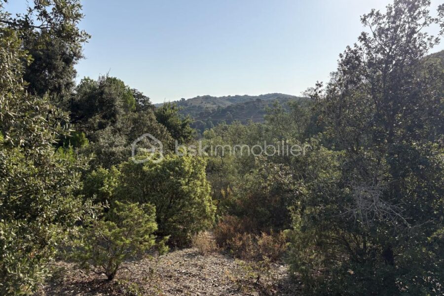 Terrain à vendre à Estagel — Vue nature — photo 3