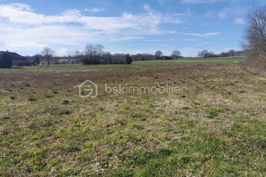 Terrain à vendre à Lespouey