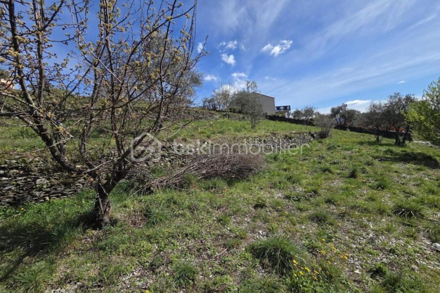 Terrain à vendre à Le vigan — Vue montagne — photo 3
