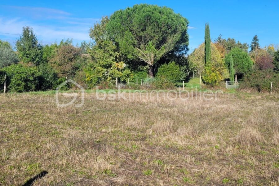 Terrain à vendre à Saint paul sur save