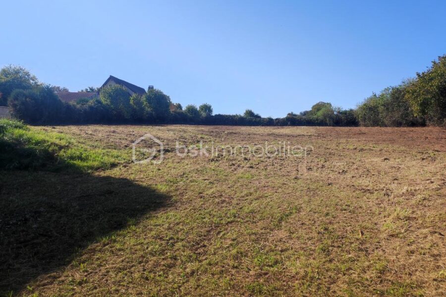 Terrain à vendre à Champlost