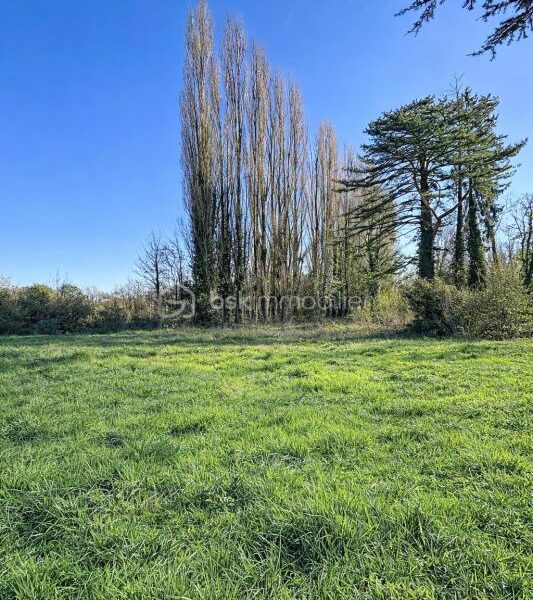Terrain à vendre à Essomes sur marne