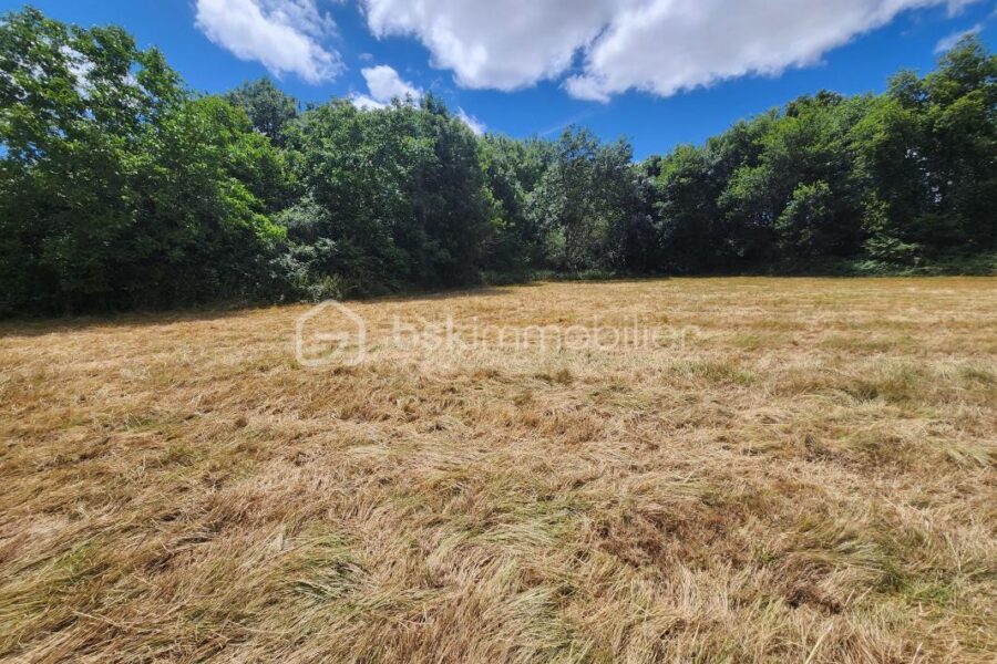 Terrain à vendre à Sanxay