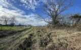Terrain à vendre à Longeville sur la laines