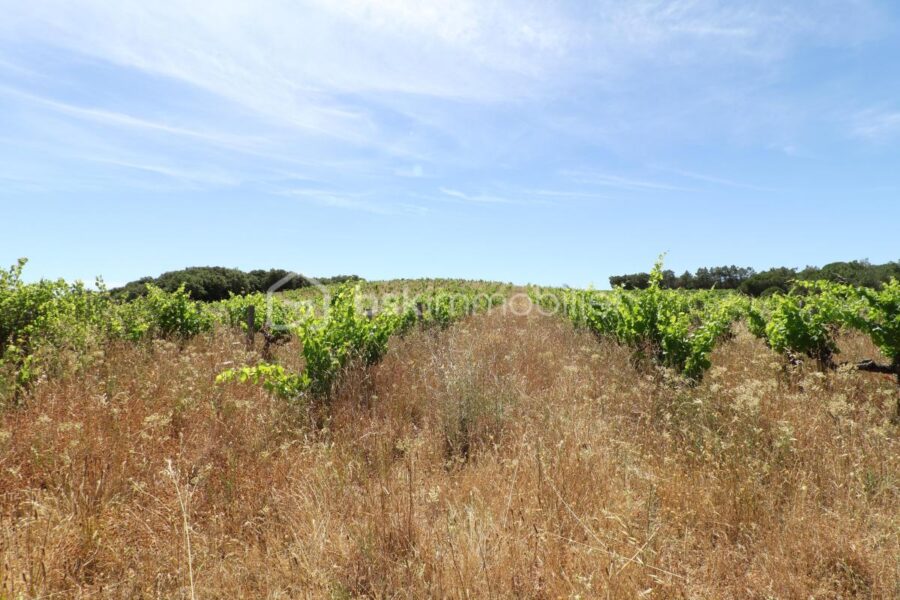 Terrain à vendre à Caussiniojouls