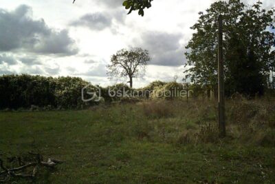 Terrain à vendre à Vendeuvre du poitou