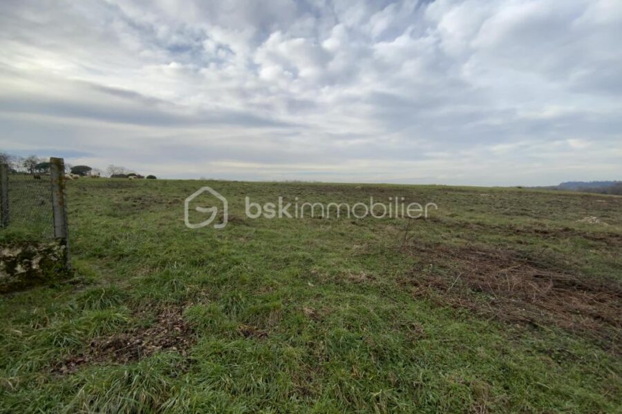 Terrain à vendre à Toulenne