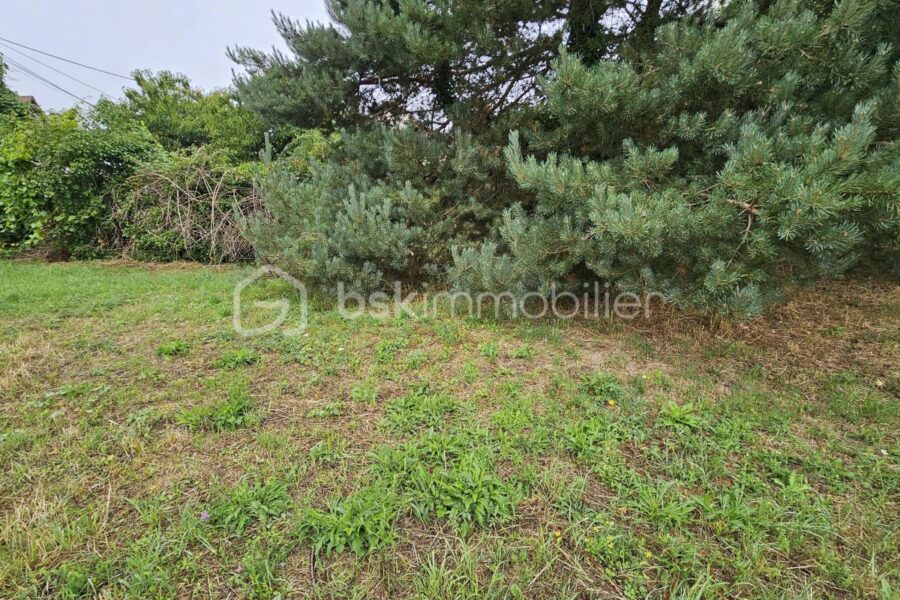 Terrain à vendre à Fleury les aubrais