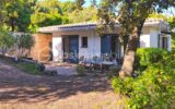 Maison à vendre à Albitreccia