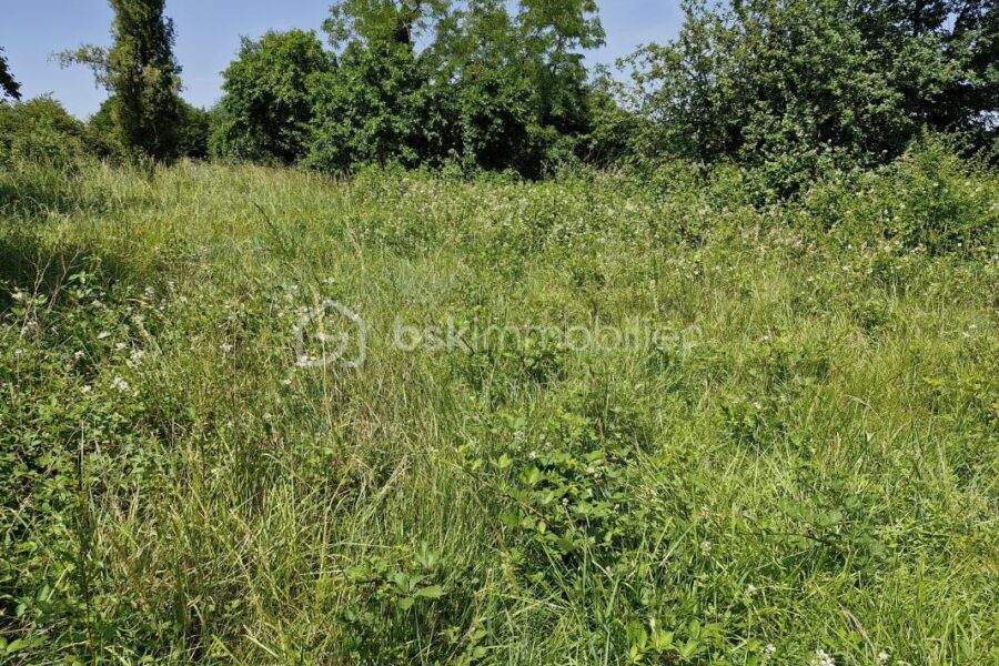 Terrain à vendre à Eygurande et gardedeuil