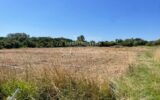 vente maison 7 Pièce(s) – 7 pièces – 4 chambres – 182.00 m²