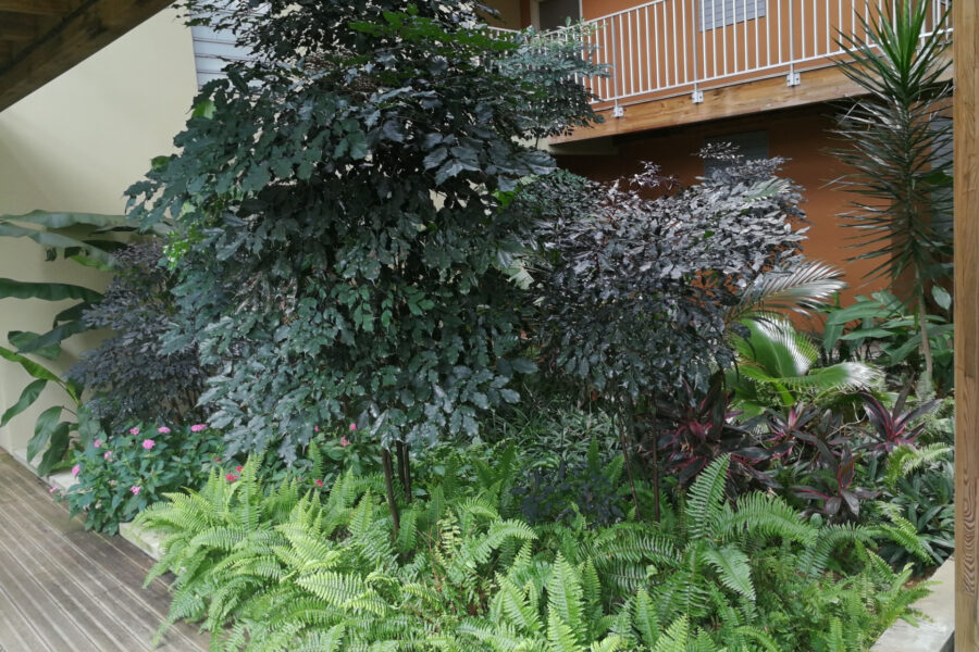 Appartement à louer à Sainte-marie